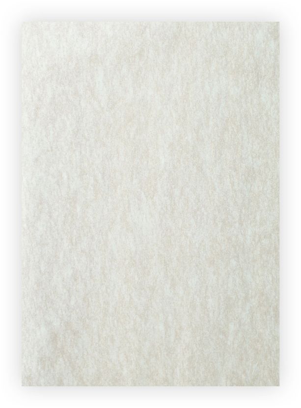 FOREVER matt finish economy (250 sheets)
